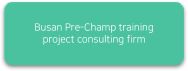 Busan Pre-Champ training project consulting firm